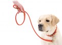COLLAR_Leather-collar-and-leashes_catalogue_2017-67